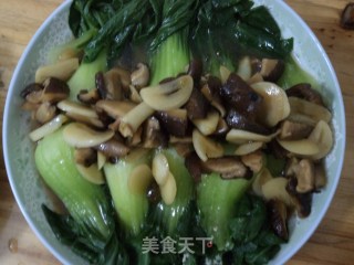 香菇扒上海青的做法步骤：5