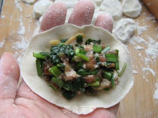 野菜飘香【苋菜锅贴】的做法步骤：8
