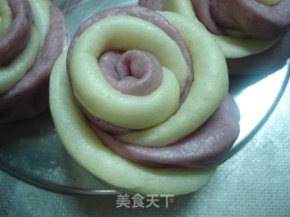 双色玫瑰的做法步骤：14