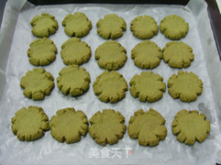 抹茶玛格丽特饼干的做法步骤：16