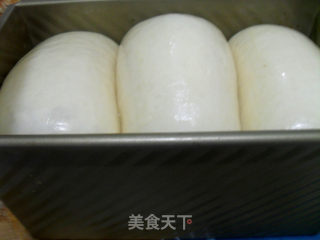 香草卡仕达吐司（中种法）的做法步骤：30