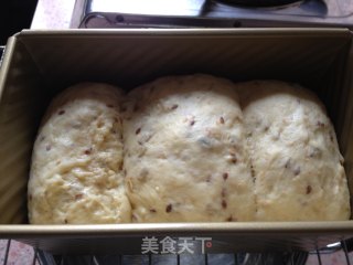 杂粮吐司（面包机和烤箱的结合）的做法步骤：5