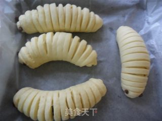 蜜豆毛毛虫面包的做法步骤：9