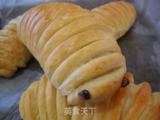 蜜豆毛毛虫面包的做法步骤：10
