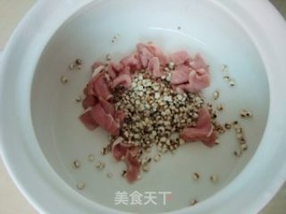 三高食谱——冬瓜薏仁瘦肉粥的做法步骤：4