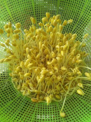 家庭自发黄豆芽的做法步骤：5