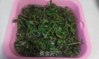 蒜香野生马齿笕的做法步骤：1