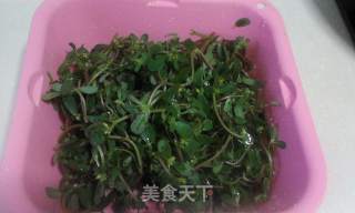 蒜香野生马齿笕的做法步骤：2