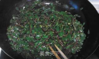 蒜香野生马齿笕的做法步骤：3