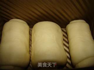 奶香吐司的做法步骤：8