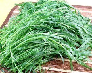 凉拌野菜扫帚苗，赛肉味的做法步骤：2