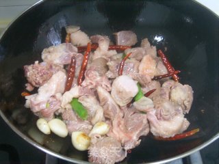 辣焖羊肉粉丝的做法步骤：4