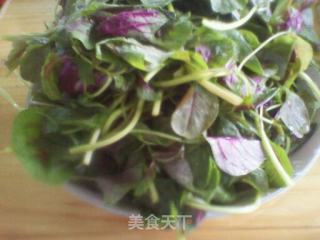 苋菜炒咸鸭蛋白的做法步骤：1