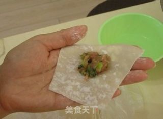 包馄饨的做法步骤：5