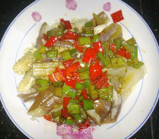 青红椒拌茄子 少油的做法步骤：10