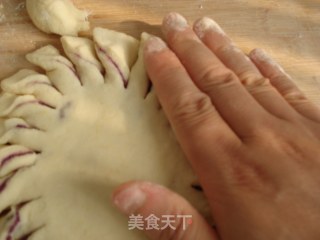 太阳花紫薯饼的做法步骤：12