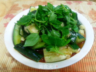 夏日开胃菜——凉拌麻辣黄瓜的做法步骤：10