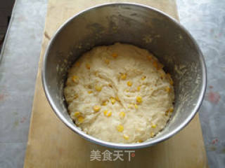 玉米面包——17小时中种冷藏法的做法步骤：9