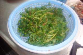 夏日食野菜之---【美味的马齿苋饼】的做法步骤：1