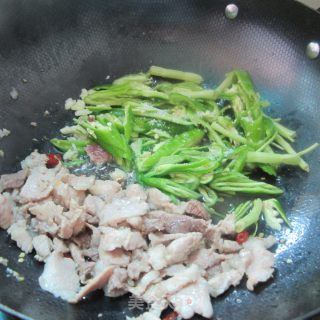 辣椒炒瘦肉的做法步骤：4