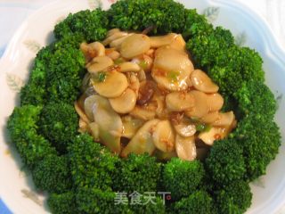 XO酱杏鲍菇的做法步骤：13