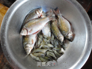 河虾烧鲫鱼的做法步骤：1