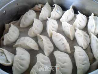 韭菜馅儿——素饺的做法步骤：23