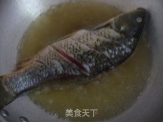 番茄烧鱼的做法步骤：3