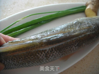 宝宝食谱——蒸鲈鱼的做法步骤：2