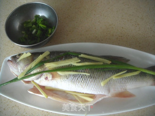 宝宝食谱——蒸鲈鱼的做法步骤：3