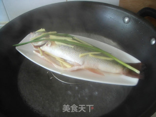 宝宝食谱——蒸鲈鱼的做法步骤：4