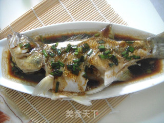 宝宝食谱——蒸鲈鱼的做法步骤：8