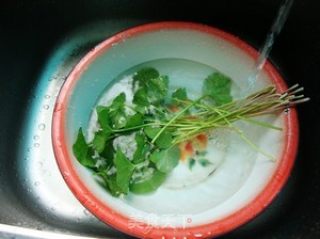 民族养肝食疗法——马蹄草煎鸡蛋的做法步骤：1
