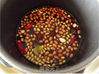 茴香呛卤花生豆的做法步骤：4