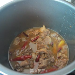 啤酒煲鸭的做法步骤：10