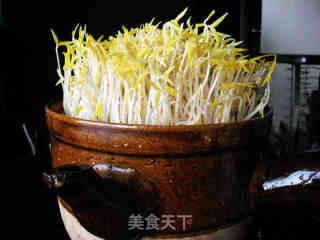 砂锅生绿豆芽的做法步骤：11