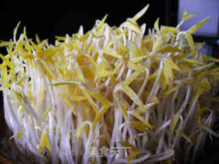 砂锅生绿豆芽的做法步骤：12