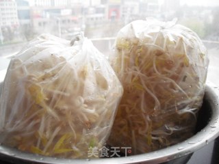 砂锅生绿豆芽的做法步骤：15