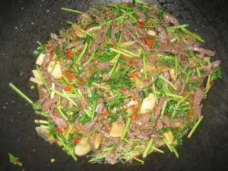 野山椒牛肉丝的做法步骤：9