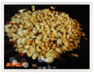 仿制黄飞红麻辣花生！-----美味看得见！的做法步骤：11