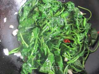 简单的夏日小菜----蒜蓉空心菜的做法步骤：6