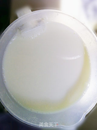 低脂酸豆奶-----每100克28k的做法步骤：2