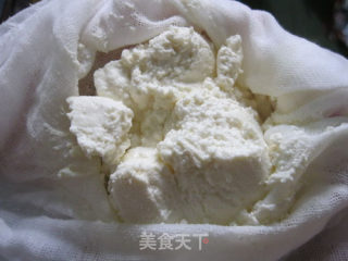 自制奶酪的做法步骤：5