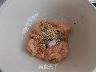 芝心鸡肉丸的做法步骤：2
