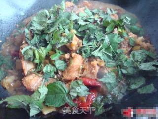 酸菜大茴焖鱼的做法步骤：7
