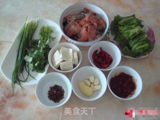 水煮鲶鱼的做法步骤：3