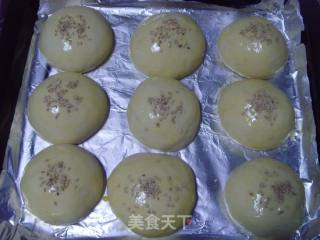 炼奶小餐包（中种法）的做法步骤：10