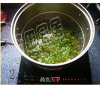 纯天然绿色时尚蔬菜——蒜蓉马齿苋的做法步骤：2