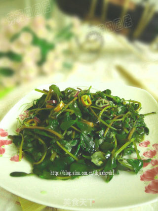 纯天然绿色时尚蔬菜——蒜蓉马齿苋的做法步骤：4