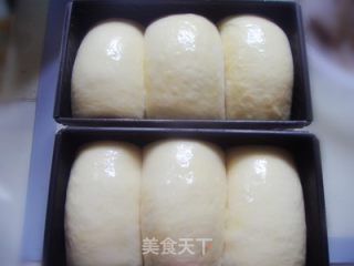 Q劲十足的——中种北海道吐司的做法步骤：12